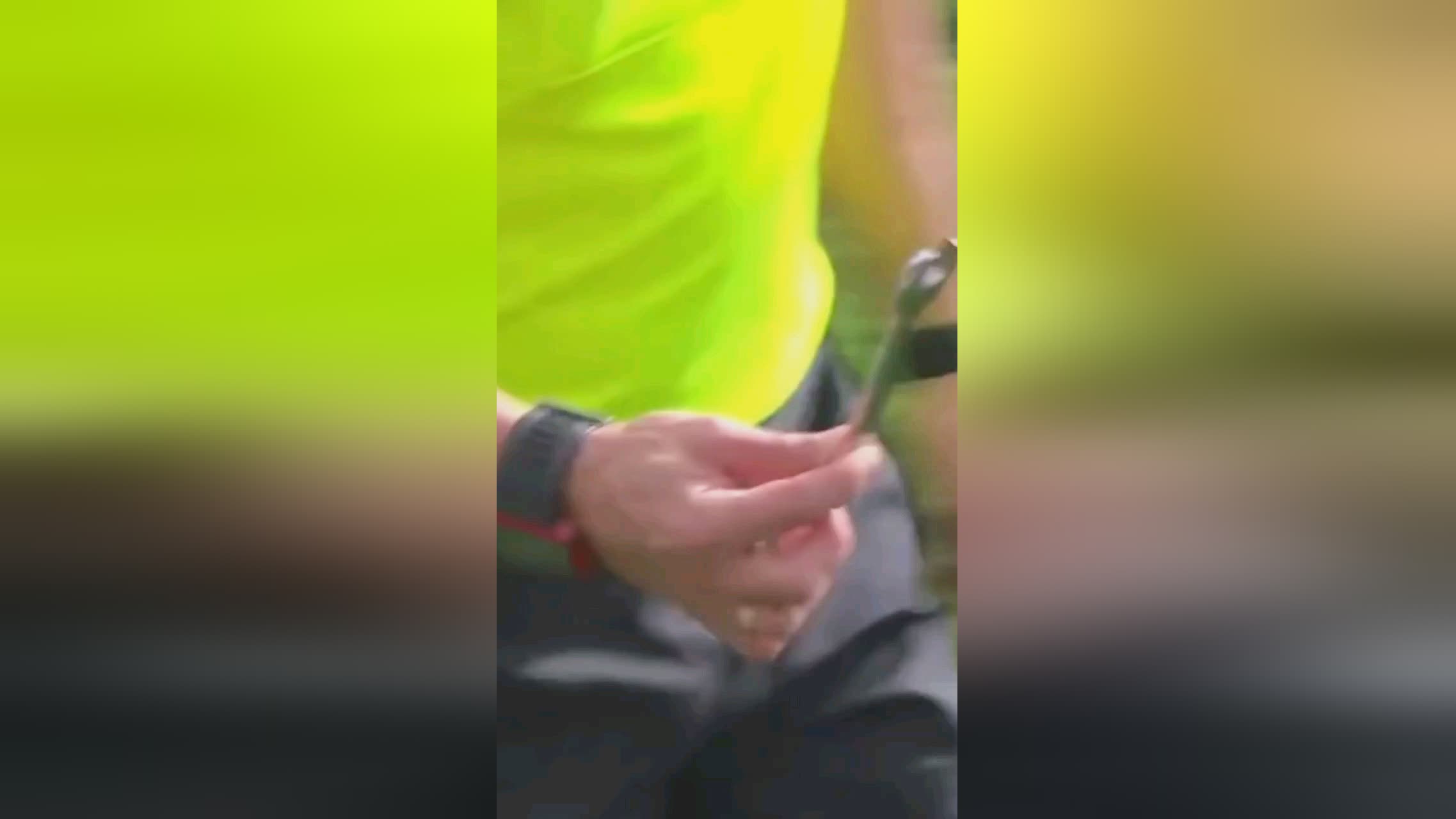 球界